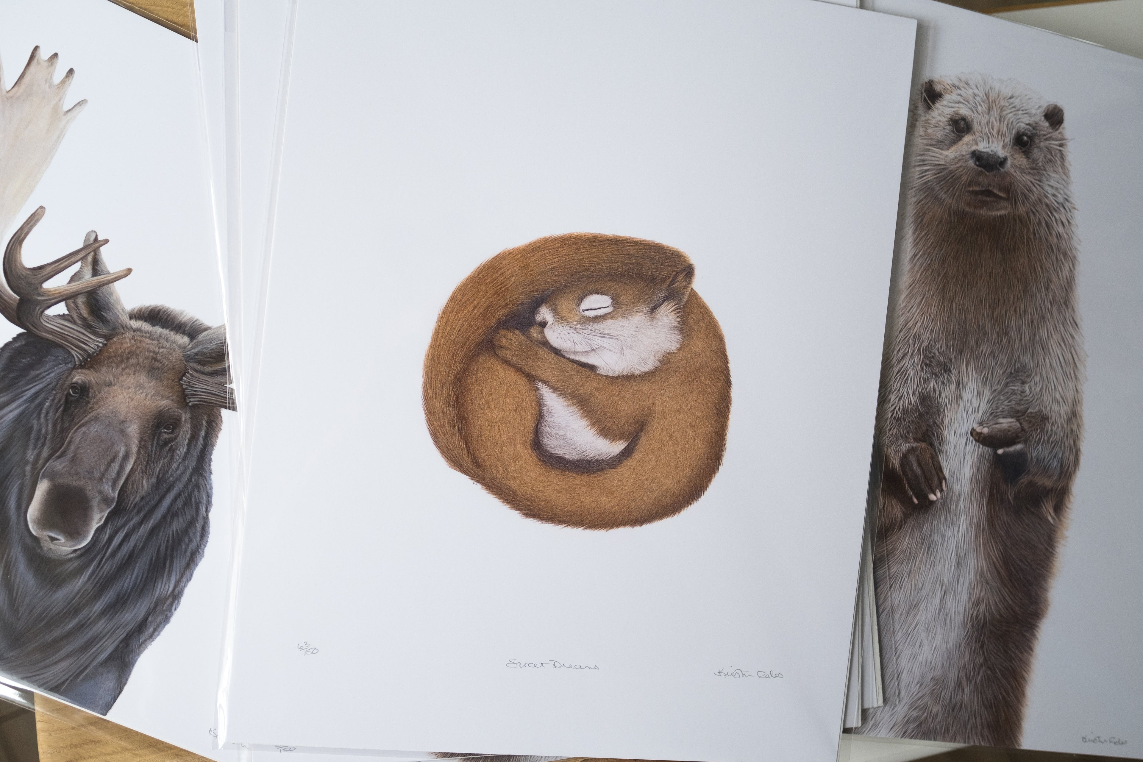 Fine Art Prints