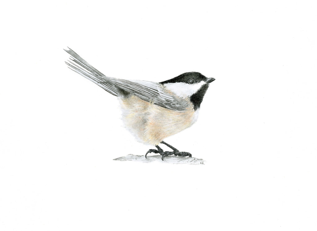Notecard 5.5" x 4" Premium Matte - "Cheerful Chap" Chickadee