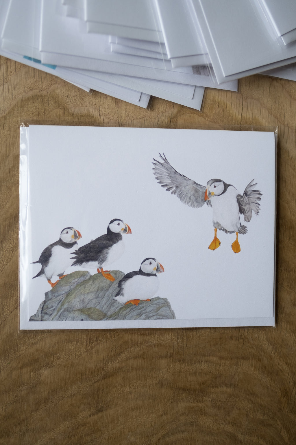 Notecard 5.5" x 4" Premium Matte - "Scoot Over" Puffins