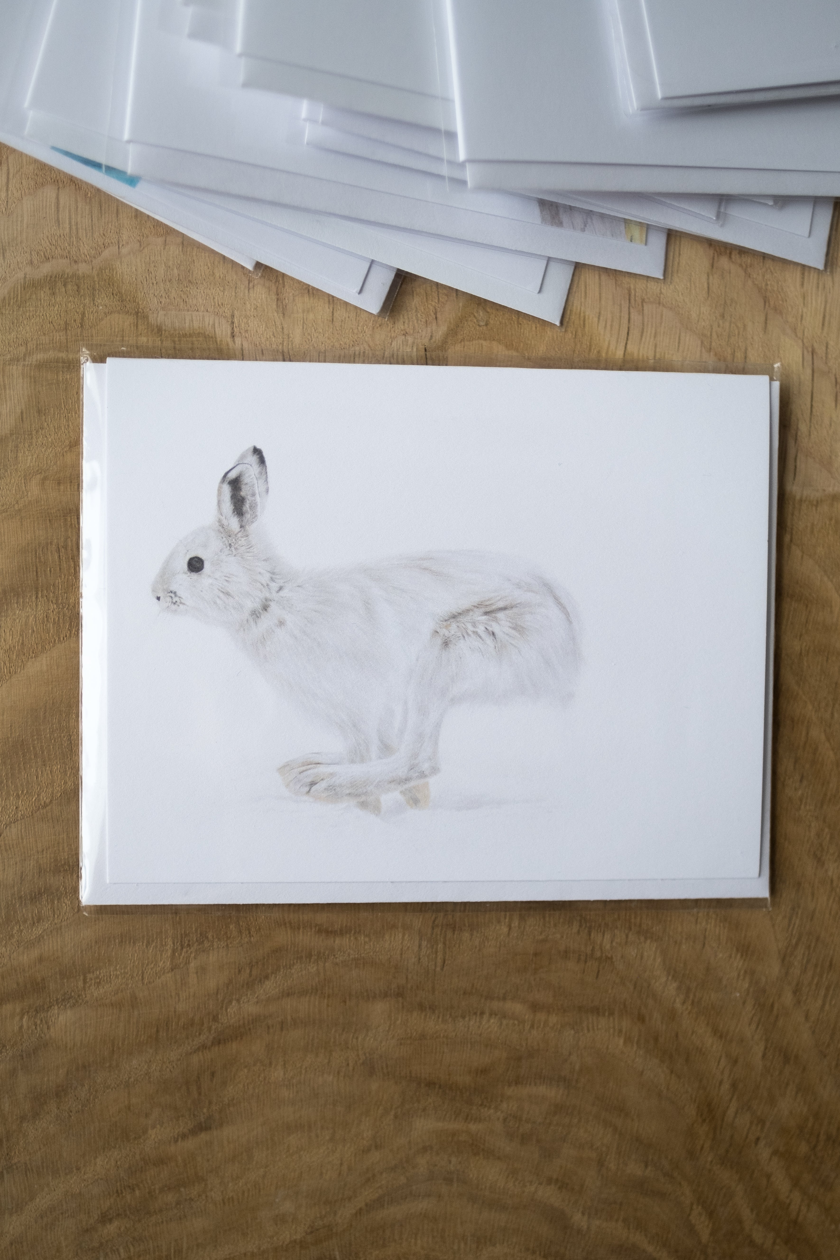 Notecard 5.5" x 4" Premium Matte - "Flight" Snowshoe Hare