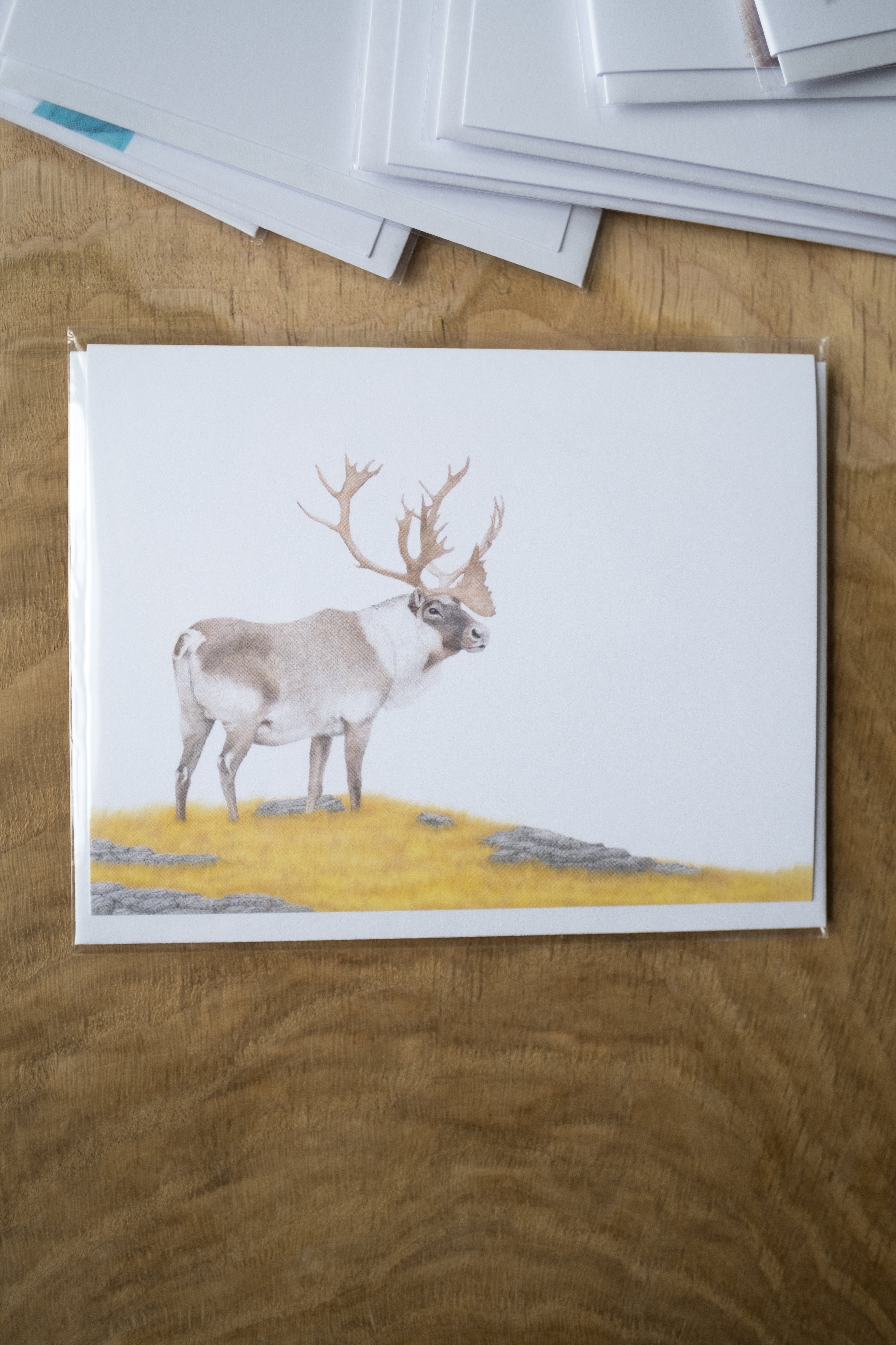 Notecard 5.5" x 4" Premium Matte - "His Majesty" Stag Caribou