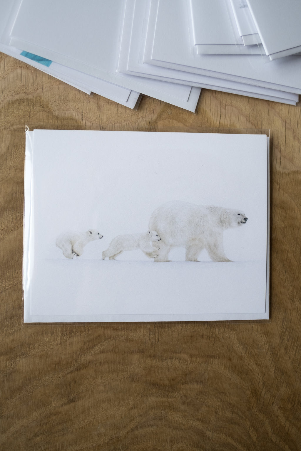 Notecard 5.5" x 4" Premium Matte - "Come On We Goes" Polar Bears