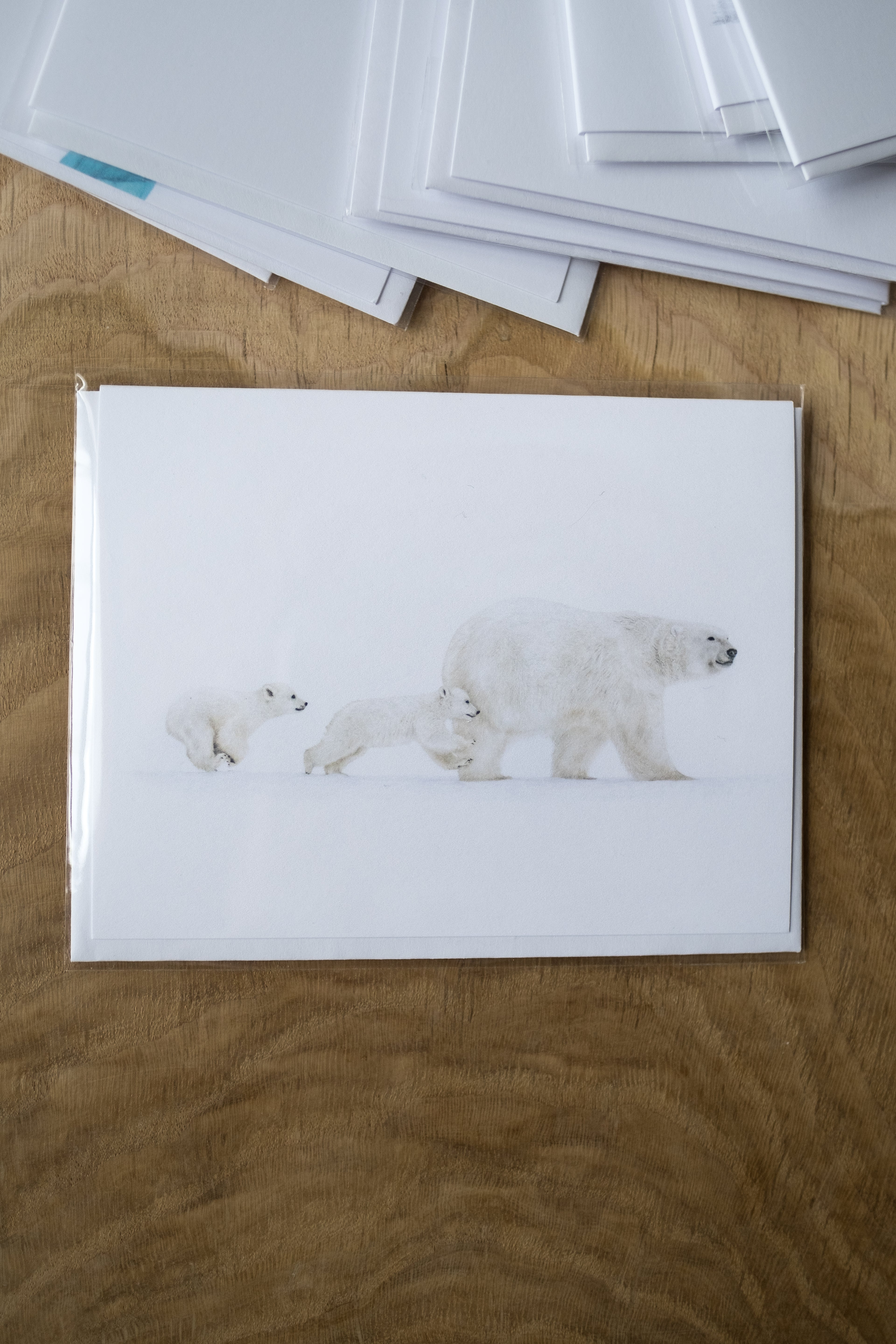 Notecard 5.5" x 4" Premium Matte - "Come On We Goes" Polar Bears