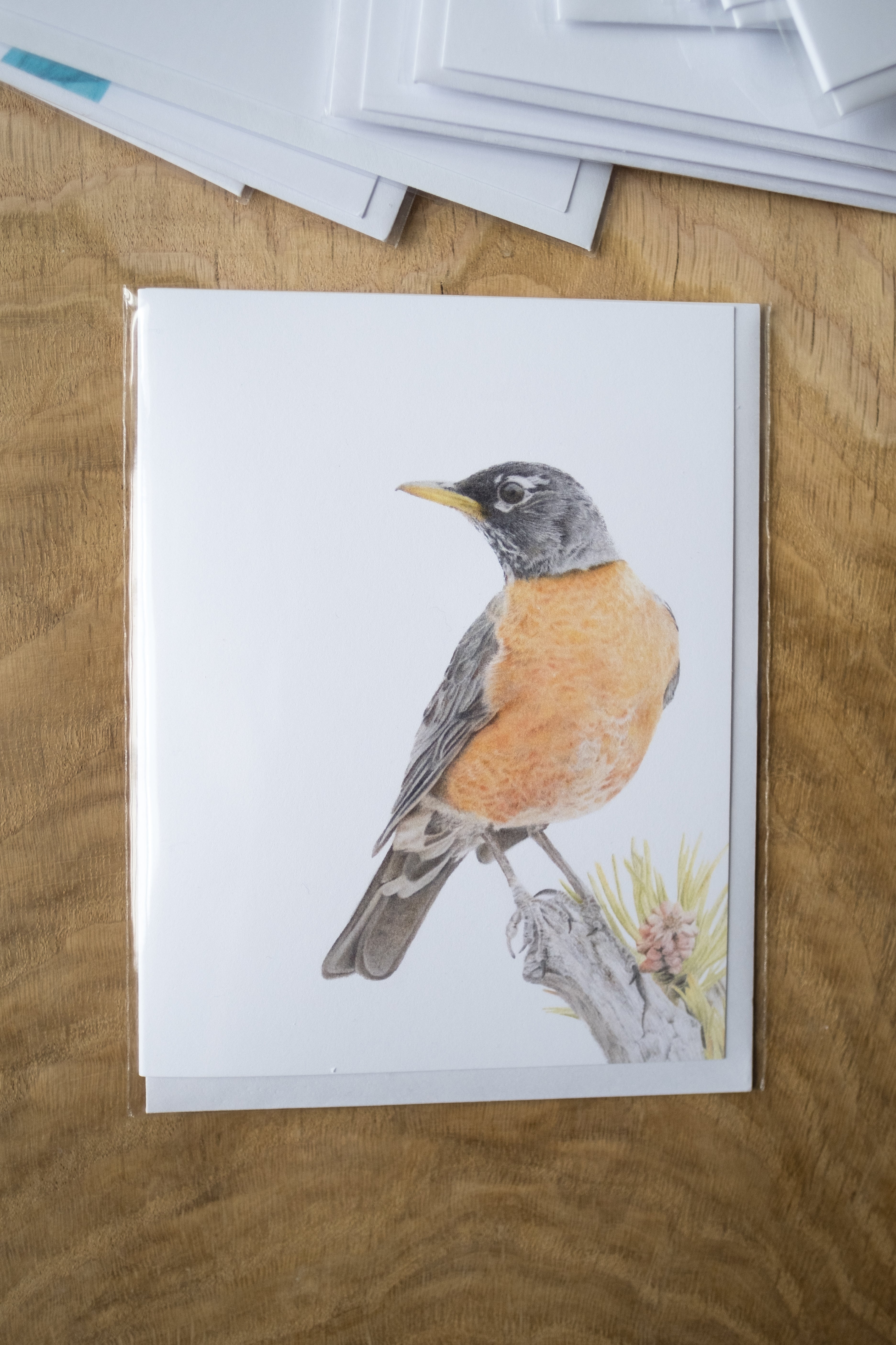 Notecard 5.5" x 4" Premium Matte - "Sign of Spring" American Robin