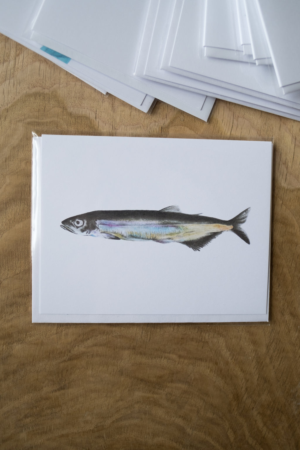 Notecard 5.5" x 4" Premium Matte - "Capelin" Capelin Fish