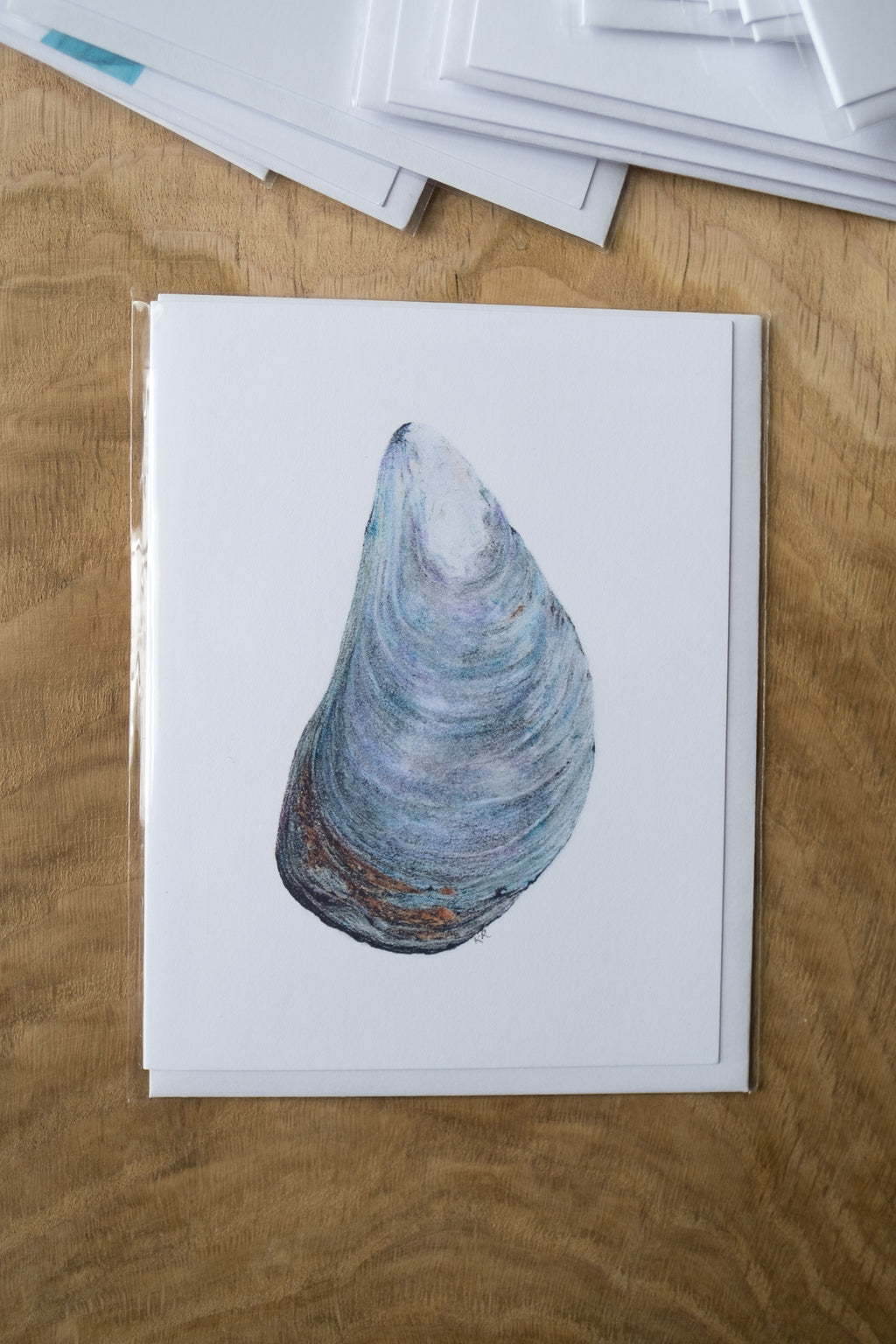 Notecard 5.5" x 4" Premium Matte - "Blue Mussel" Mussel Shell