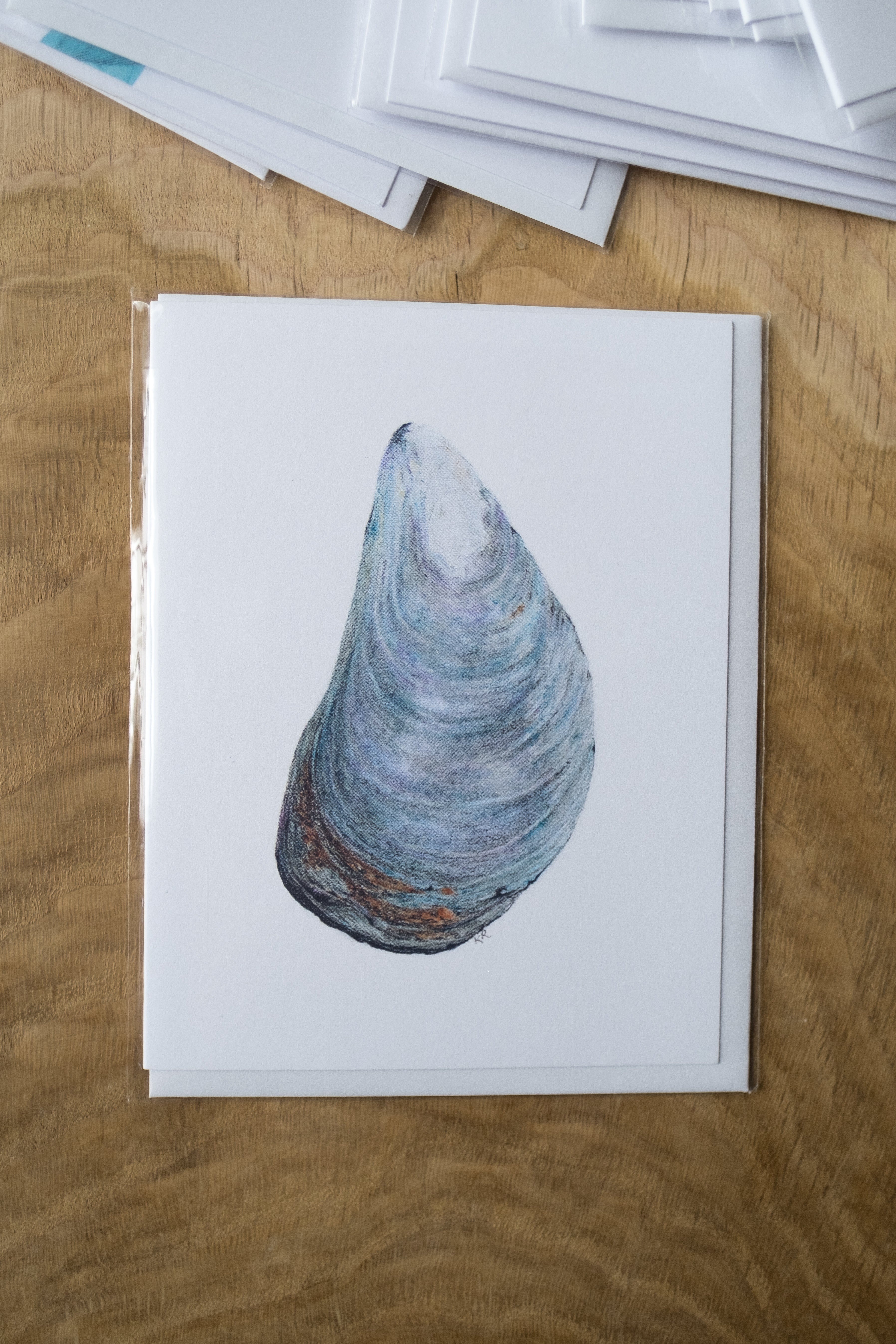 Notecard 5.5" x 4" Premium Matte - "Blue Mussel" Mussel Shell