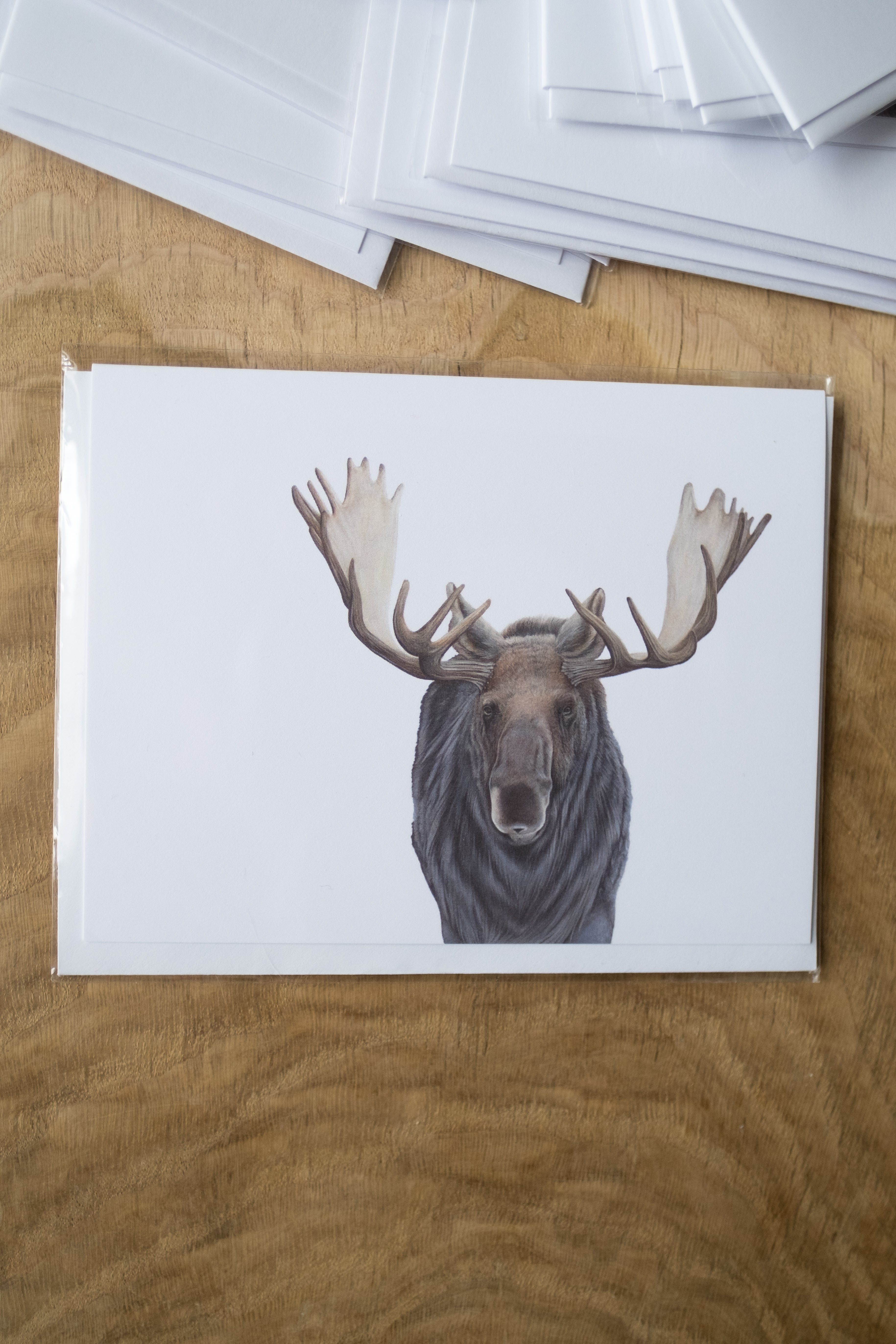 Notecard 5.5" x 4" Premium Matte - "Wanderer" Bull Moose