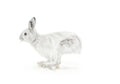 Art Print Limited Edition "Flight" Snowshoe Hare