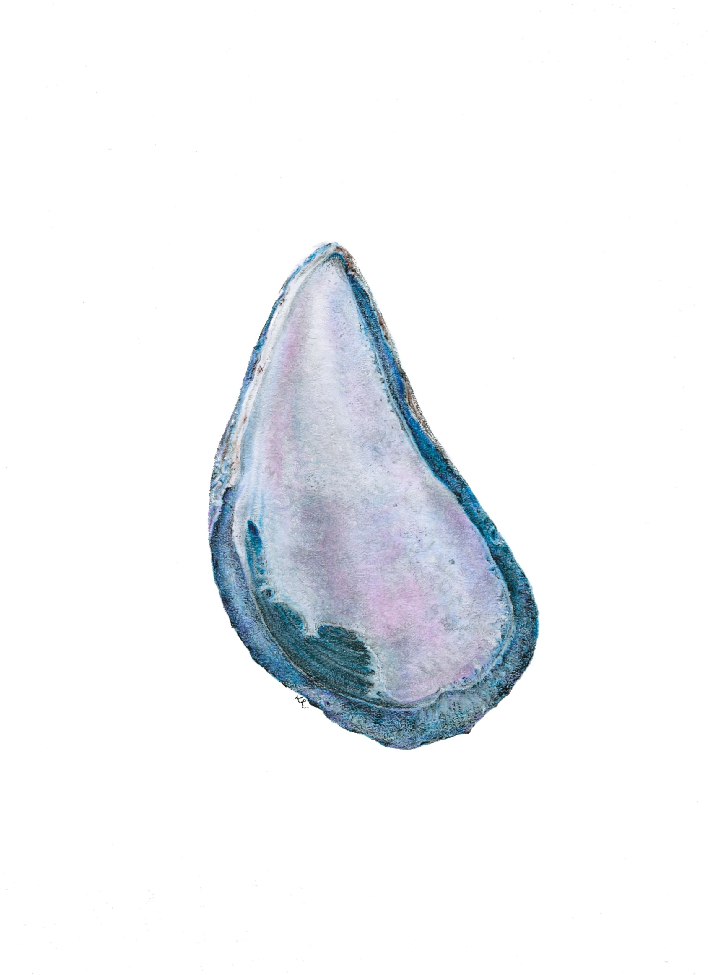 Art Print Limited Edition "Inner Beauty" Mussel Shell