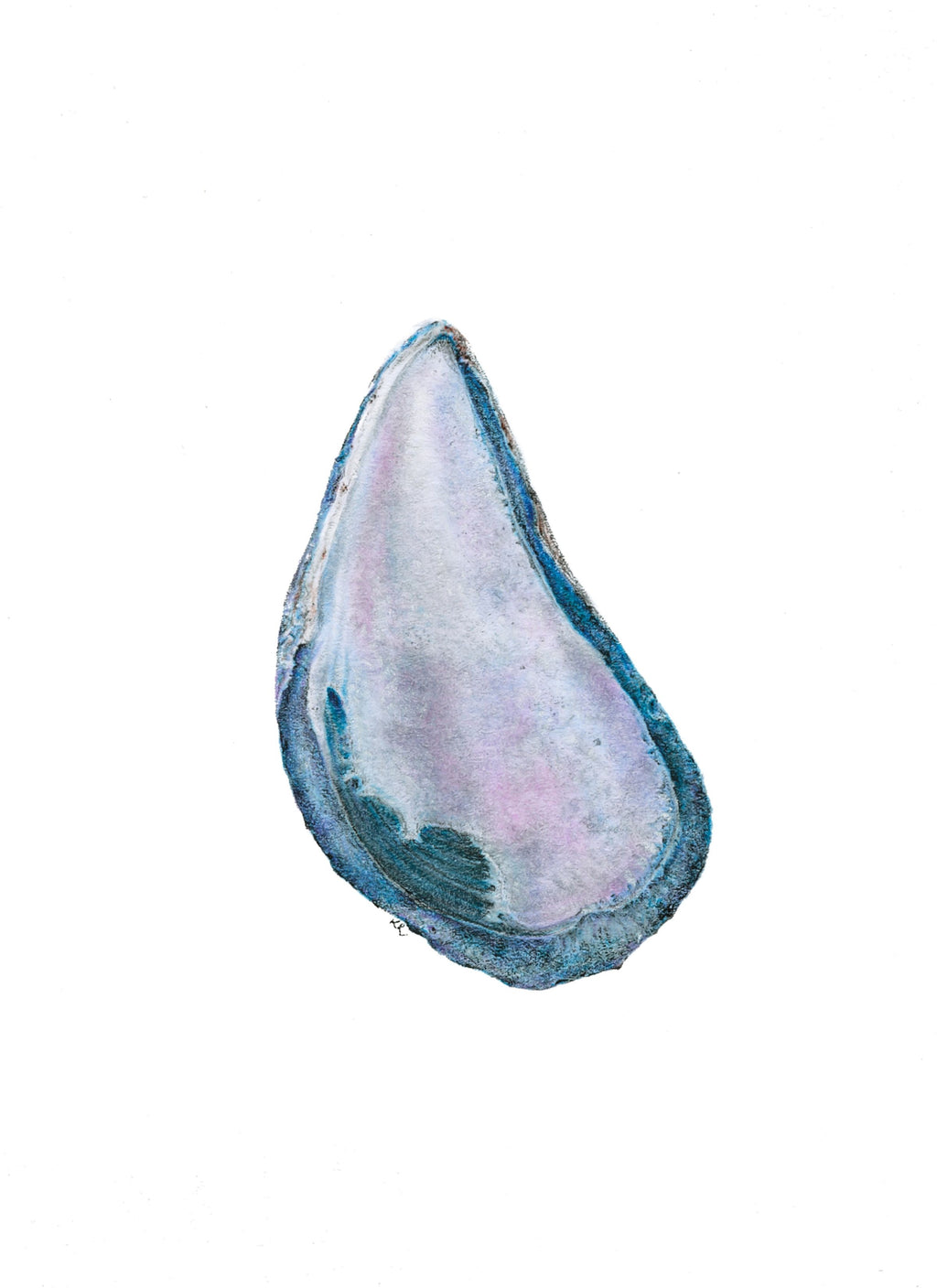 Notecard 5.5" x 4" Premium Matte - "Inner Beauty" Mussel Shell