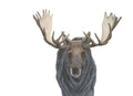 Notecard 5.5" x 4" Premium Matte - "Wanderer" Bull Moose