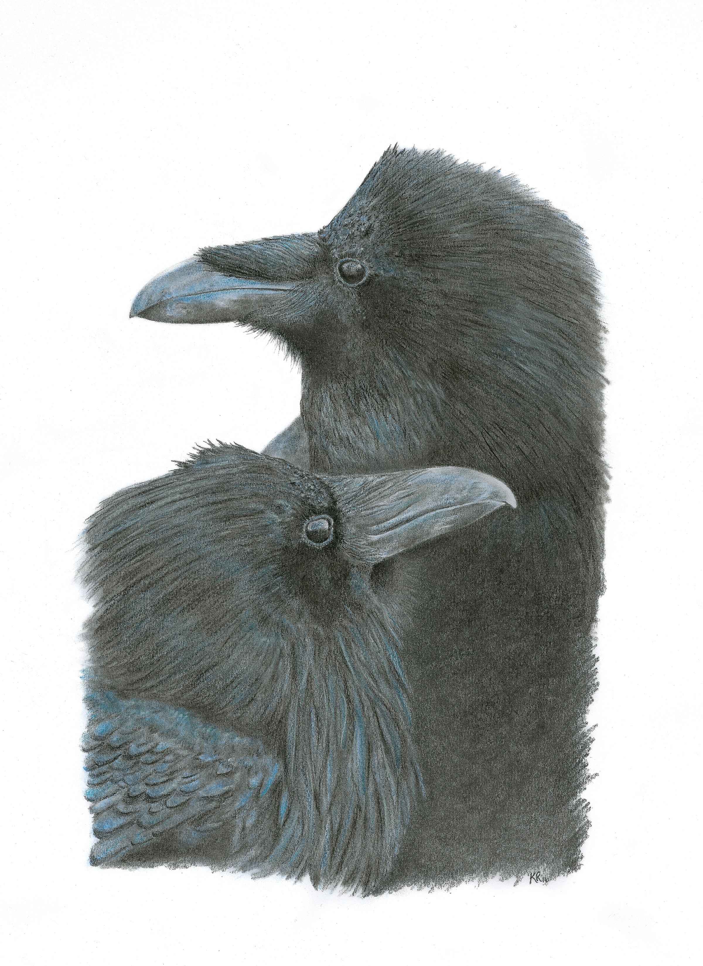 Notecard 5.5" x 4" Premium Matte - "Nevermore" Ravens