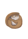Notecard 5.5" x 4" Premium Matte - "Sweet Dreams" Red Squirrel